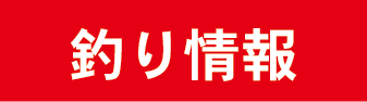 釣りのみっちゃん釣り情報